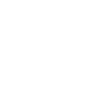 Software Dev